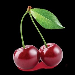 Concentrate - Cherry - 15ml Concentrate - Cherry - 15ml