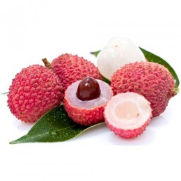 Concentrate - Litchi - 15ml Concentrate - Litchi - 15ml